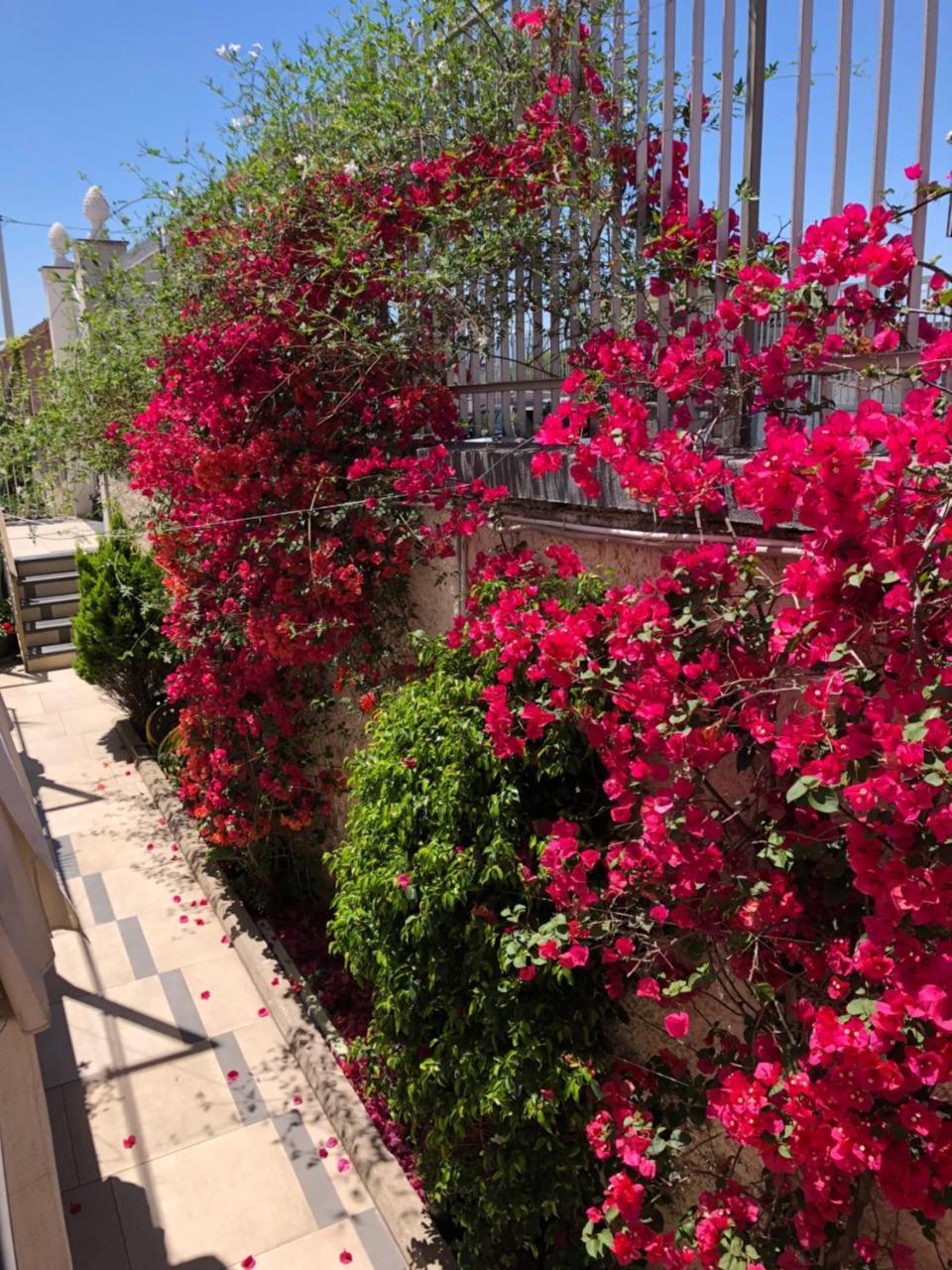 Golden Mile B&B แอร์โกลาโน ภายนอก รูปภาพ